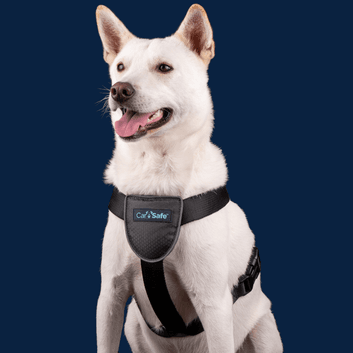 Carsafe Dog Travel Harness Black alternative