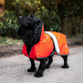 Danish Design Dog Coat Ultimate 2-In-1 Orange