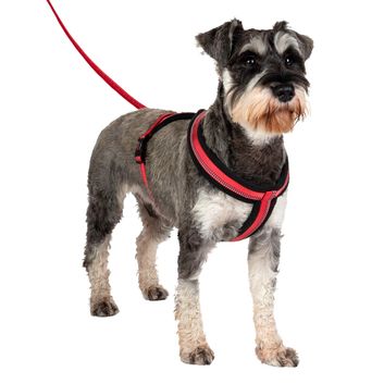 Halti Comfy Harness Red