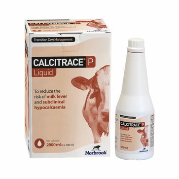 Norbrook Calcitrace P Liquid