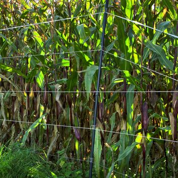 25 x Gallagher Spring Clips PVC post 19mm alternative