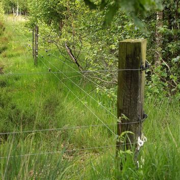 25 x Gallagher Wooden Post "W" White Insulator alternative