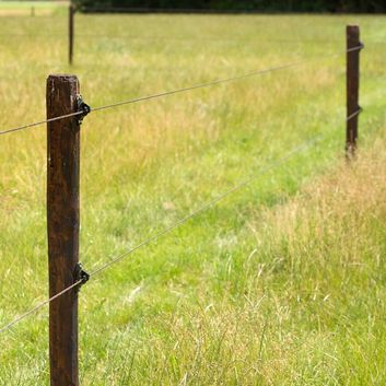 25 x Gallagher Wooden Post "W" Super Insulator alternative