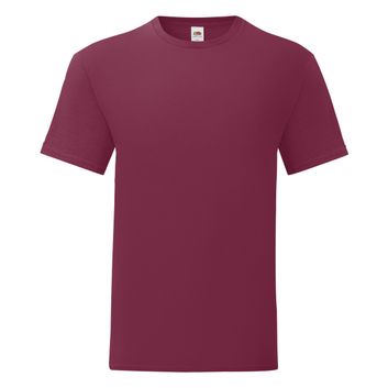 Fruit Of The Loom Men's Iconic 150 Tee Burgundy