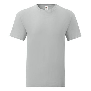 Fruit Of The Loom Men's Iconic 150 Tee Zinc