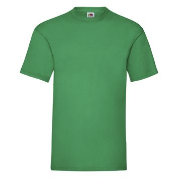 Fruit Of The Loom Men's Valueweight T-Shirt Kelly Green