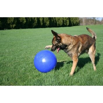 Jolly Pets Push-N-Play 4.5" Dog Ball