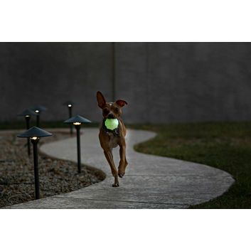 Jolly Pets Jolly Jumper 4" alternative