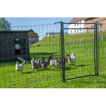 Hotline Rigid Poultry Net Gate 120cm x 80cm