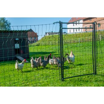 Hotline Rigid Poultry Net Gate 120cm x 80cm alternative