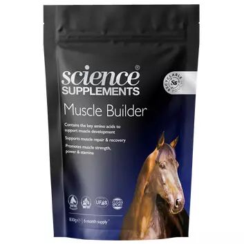 Science Supplements Horse Muscle Builder