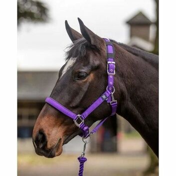 Mark Todd Deluxe Padded Headcollar & Leadrope Full Anthracite & Petrol