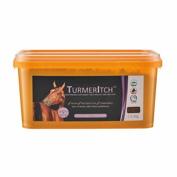 Golden Paste Company TurmerItch