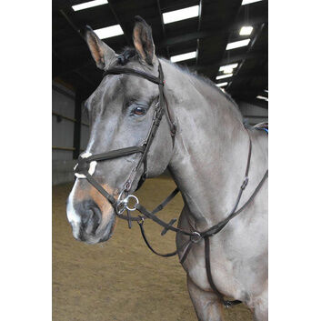 Whitaker Ready To Ride Martingale Black