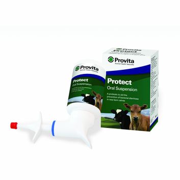 Provita Protect Probiotic For Calves