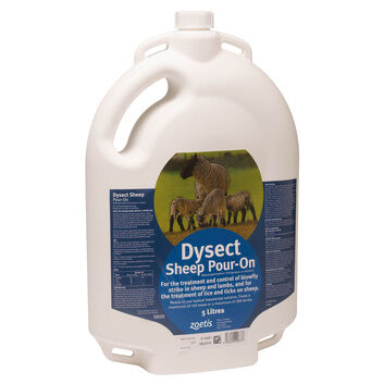 Zoetis Dysect Sheep Pour-On