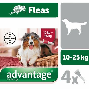 Elanco Advantage Spot-On For Dogs 4 Pipettes alternative