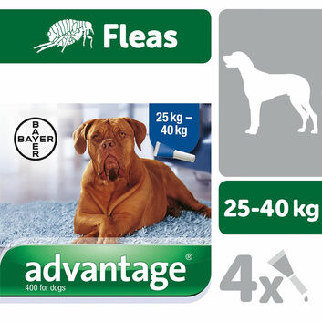 Elanco Advantage Spot-On For Dogs 4 Pipettes
