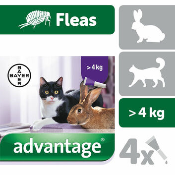 Elanco Advantage Spot-On For Cats/Dogs/Rabbits 4 Pipettes