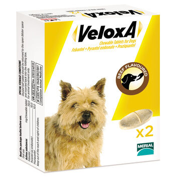 VeloxA Chewable Worming Tablets For Dogs
