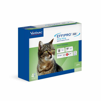Virbac Effipro Duo Flea & Tick Spot On For Cats 4 Pipettes