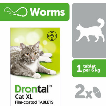 Drontal Cat Film Coated XL Wormer Tablets