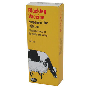 Zoetis Blackleg Vaccine For Cattle and Sheep