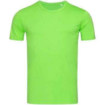 Stedman Stars Morgan Crew Neck T-Shirt - Green Flash