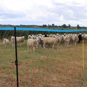 8 x Gallagher Wolf Upgrade Posts For 90cm Sheet Netting alternative