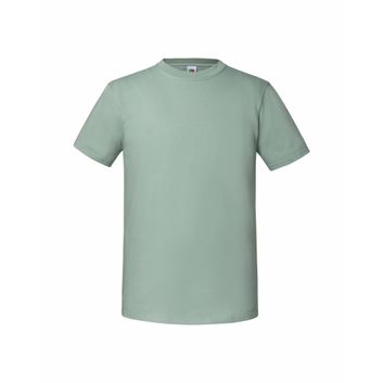 Fruit Of The Loom Men's Iconic 195 Ring Spun Premium T Sage
