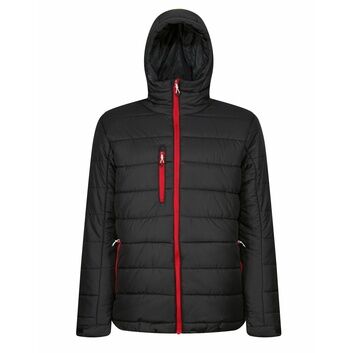 Regatta Men's Navigate Thermal Jacket Black/Classic Red
