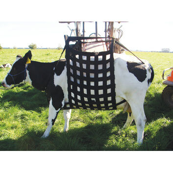 Shoof Liftease Cow Lifter Complete Kit