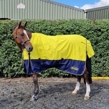 Whitaker Hornsea Turnout Rug 0Gm Yellow alternative