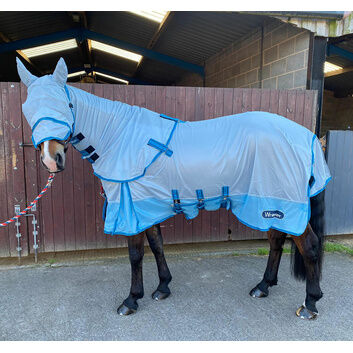 Whitaker Airton Fly Rug Light Blue