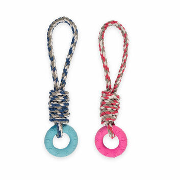 Ancol Small Bite Rope & Ring Blue/Pink