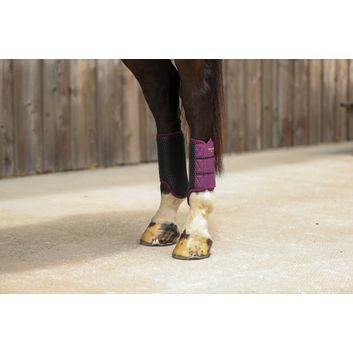 Equilibrium Tri-Zone Brushing Boots Black/Plum alternative