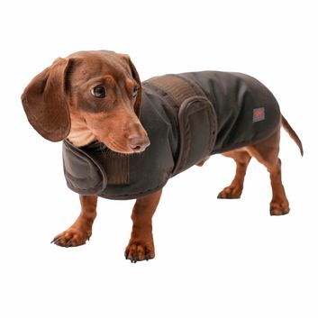 Firefoot Waxed Dachshund Coat Brown alternative