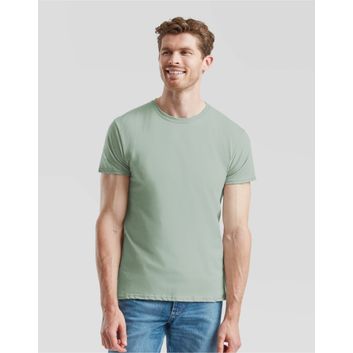 Fruit Of The Loom Men's Iconic 150 T Sage