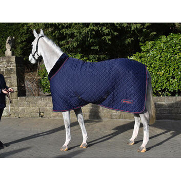 Whitaker Rastrick Cosy Stable Rug Navy