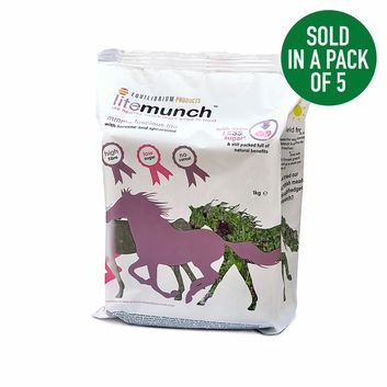 Equilibrium Litemunch Fibre Block Treat
