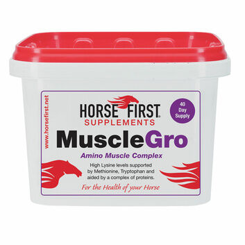 Horse First Musclegro
