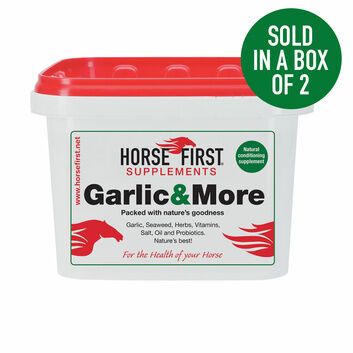 Horse First Garlic & More