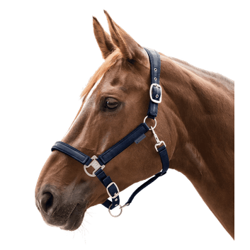 Waldhausen Athletic Night Blue/Taupe Halter