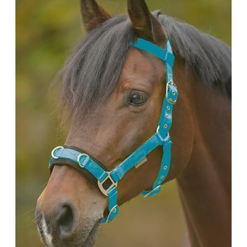 Waldhausen Economic Lunging Halter Azure Blue