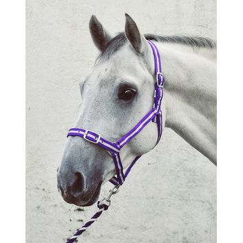 Equi-Sential Economy Headcollar &amp; Lead Rope Set Red/Navy alternative