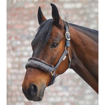 Waldhausen Elegant Asphalt Halter