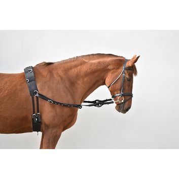 Equi-sential Horse Breaking Set alternative