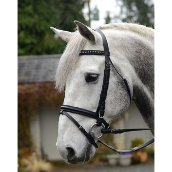 Equisential Bling Leather Bridle Black alternative