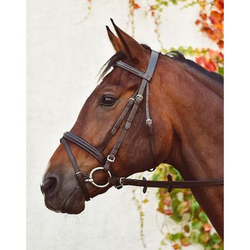 EquiSential Bridle Black alternative