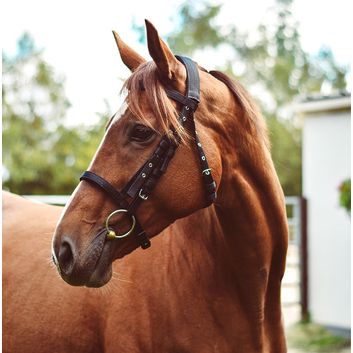 Equisential Nylon Bridle Black alternative